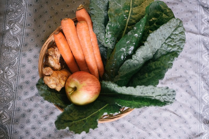 Juicing Kit | Boston Organics