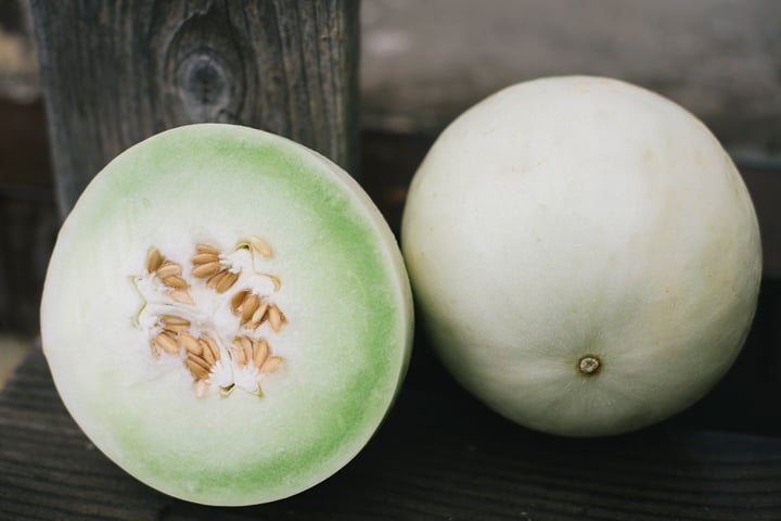 melon honeydew | Boston Organics