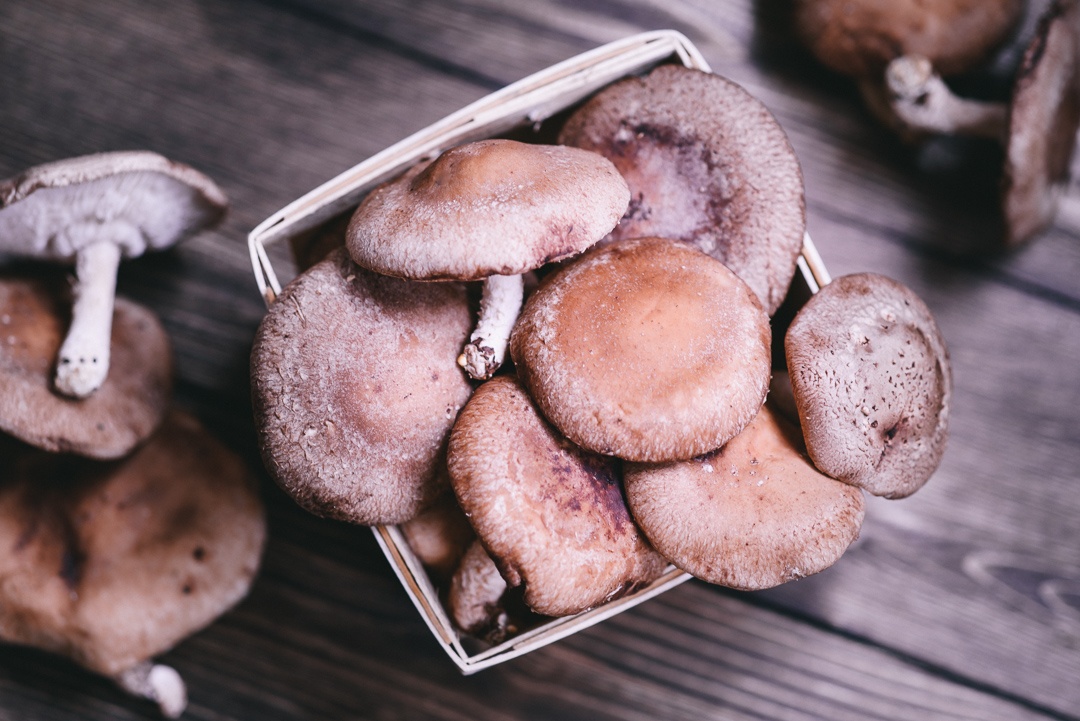 Shiitake Mushrooms