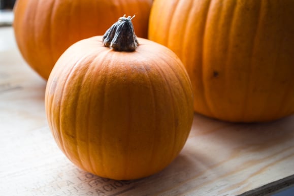 Boston Organics Pumpkins