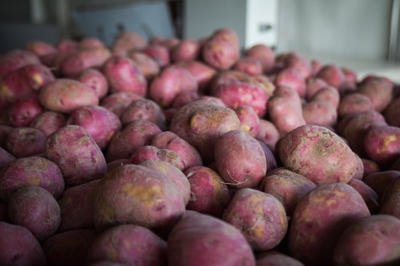 Organic Potatoes | Boston Organics