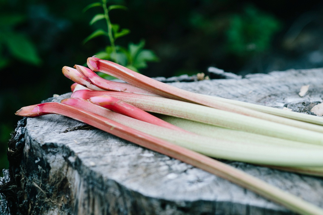 Boston Organics - Rhubarb