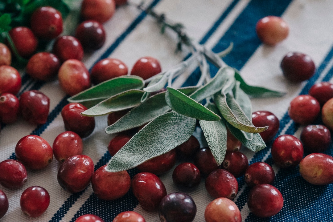 Boston Organics - Cranberries