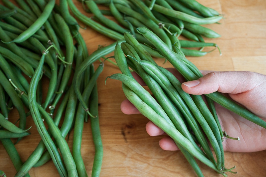Boston Organics - Green Beans