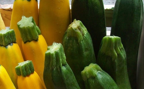 summer_squash_mixed_crate_2000px-1-2