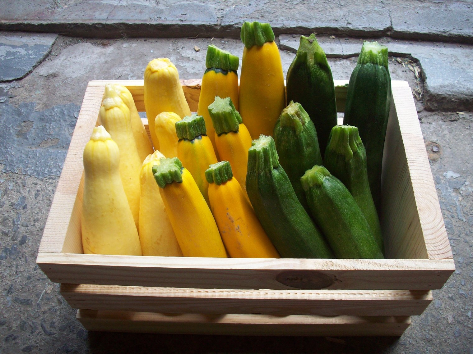 summer_squash_mixed_crate_3050px.jpg