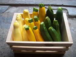 summer_squash_mixed_crate_3050px