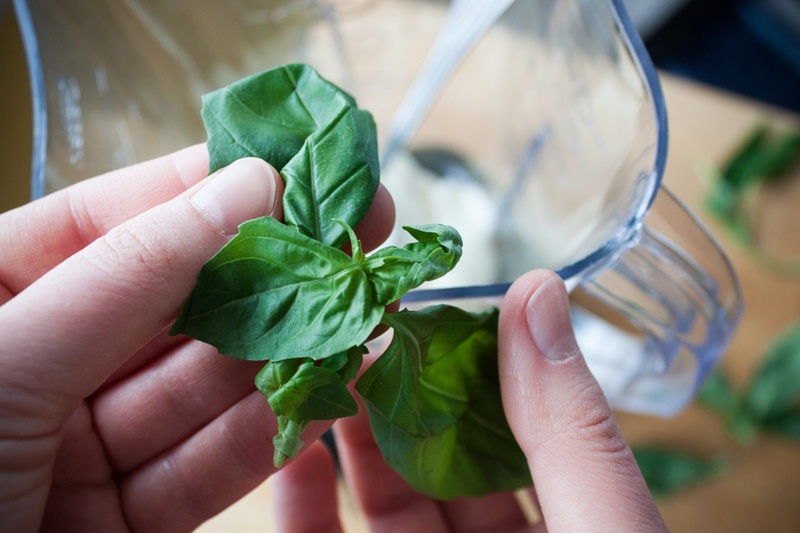 Boston Organics - Basil Boston Organics - Basil