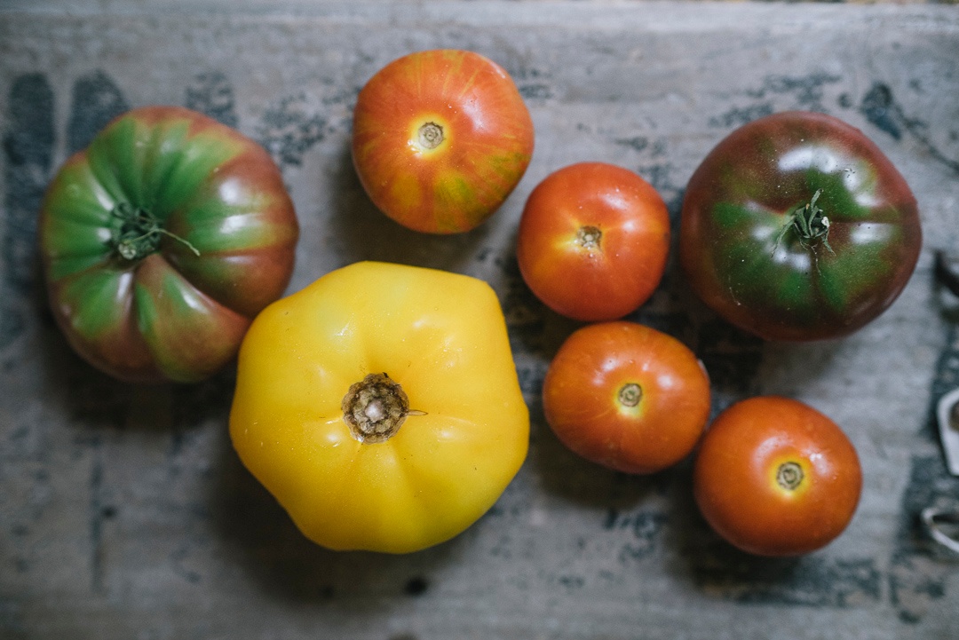 Boston Organics - Heirloom Tomatoes