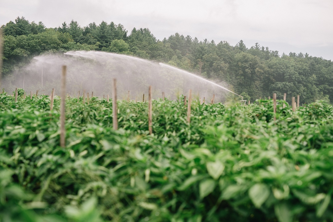 Water is one of the many natural resources used in agriculture. 
