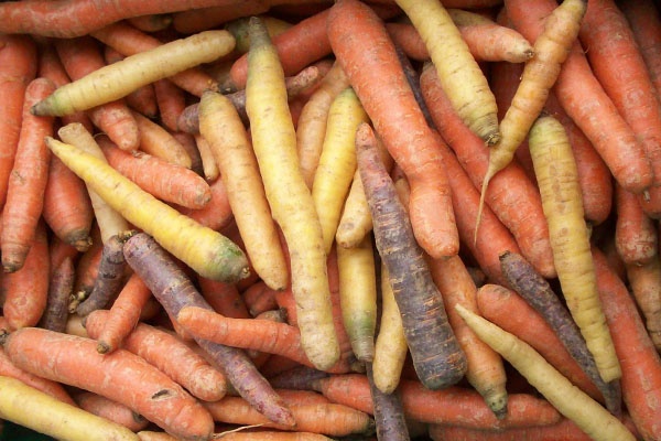 rainbow_carrots.jpg