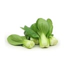 bok choy