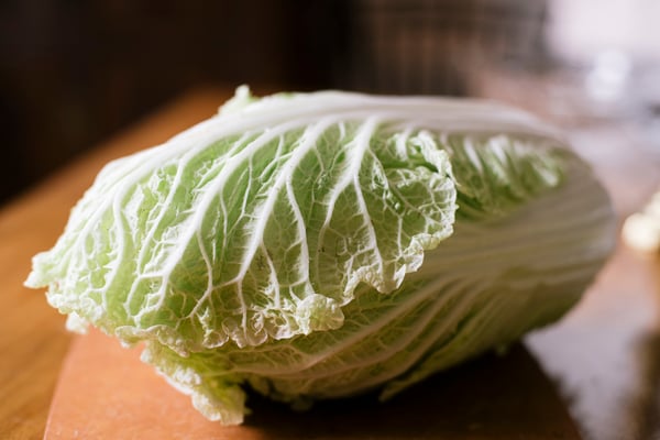 cabbage_napa_whole2_1080px