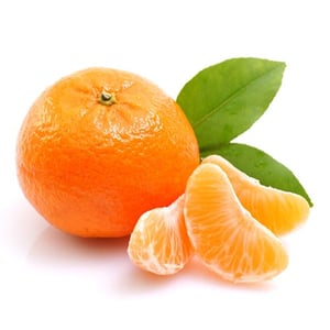 clementine_single_slices
