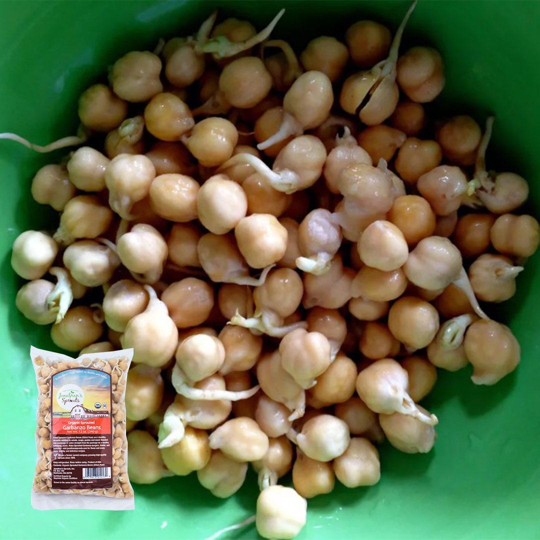 garbanzo_beans_sprouted_sprouts_jonathansprouts_jenhoy_spruceeats_1080px