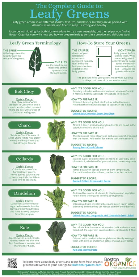 The Complete Guide to Leafy Greens (Infographic)