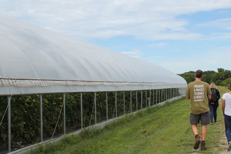 kitchen_garden_082319_high_tunnel_hubspot_film_jeff_barry_visit