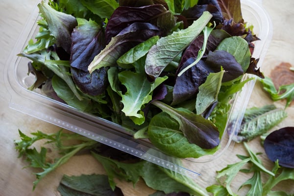 mixed_salad_greens1_1080px-1