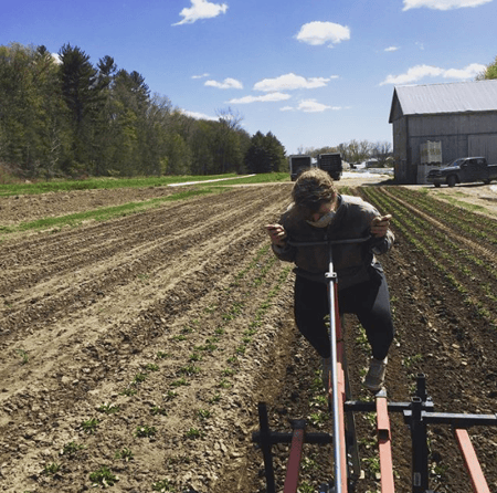 red_fire_farm_insta_harvest_052020