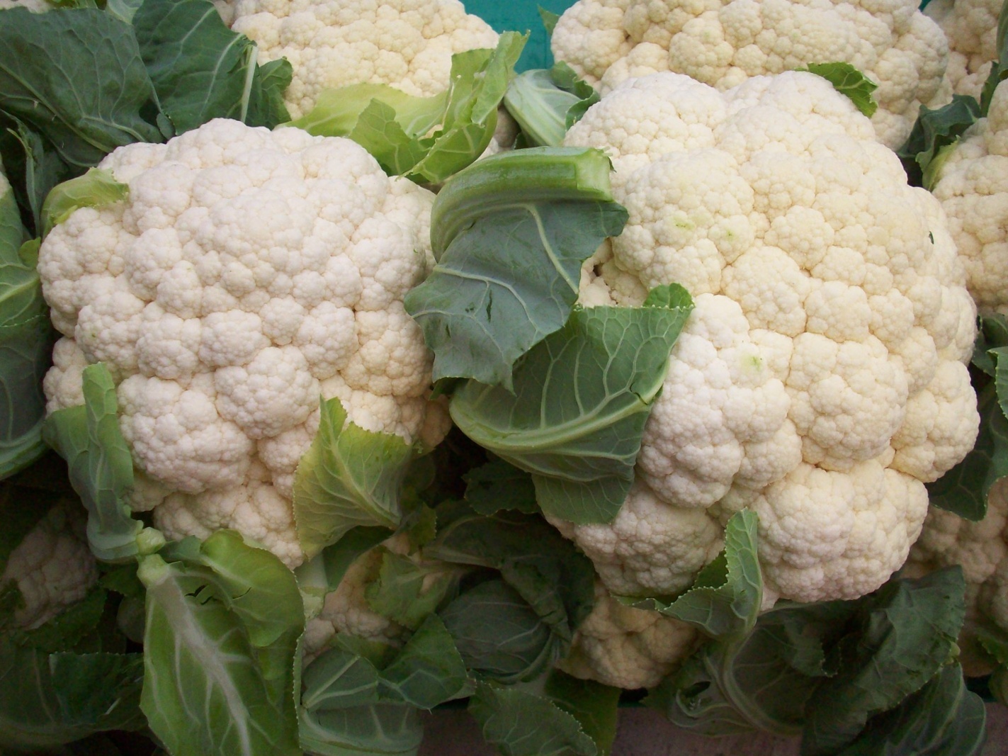 Cauliflower