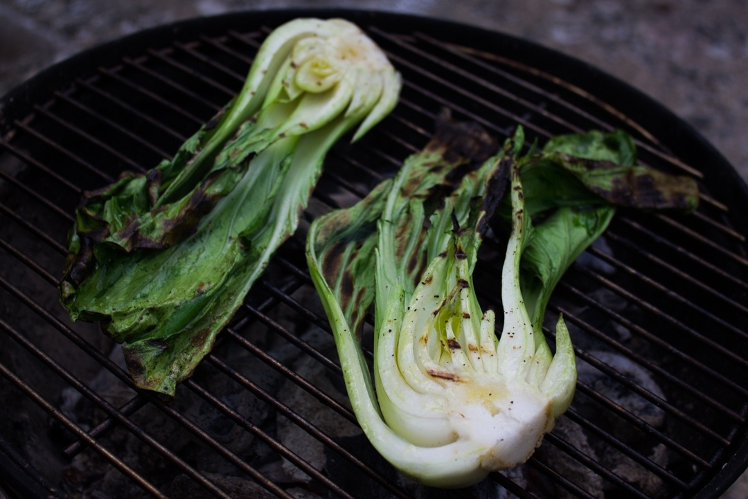 grilled_bokchoy_1080px-7