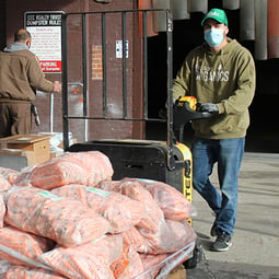 Carrot Donation