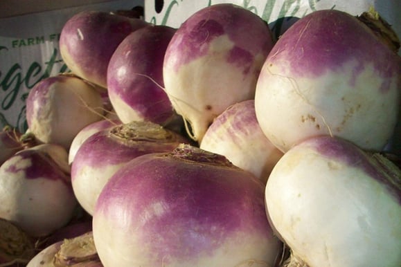 Boston Organics Purple Top Turnips