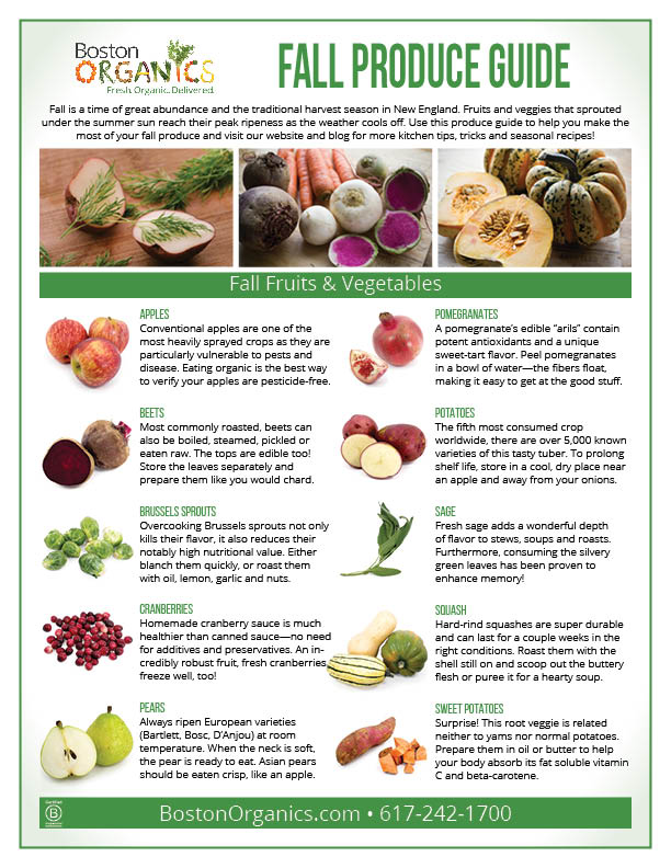an image from the blogpost Fall Produce Guide: Falling for the season
