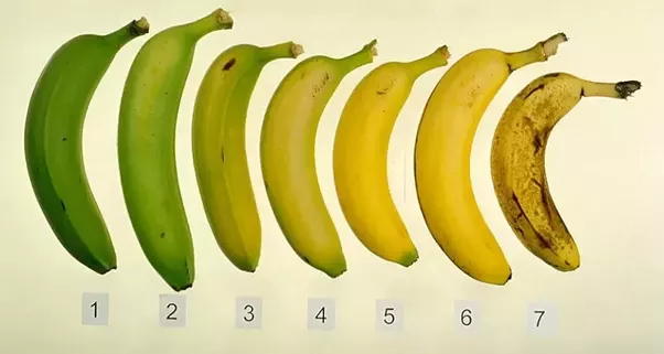 an image from the blogpost This Post is Bananas (B-A-N-A-N-A-S)
