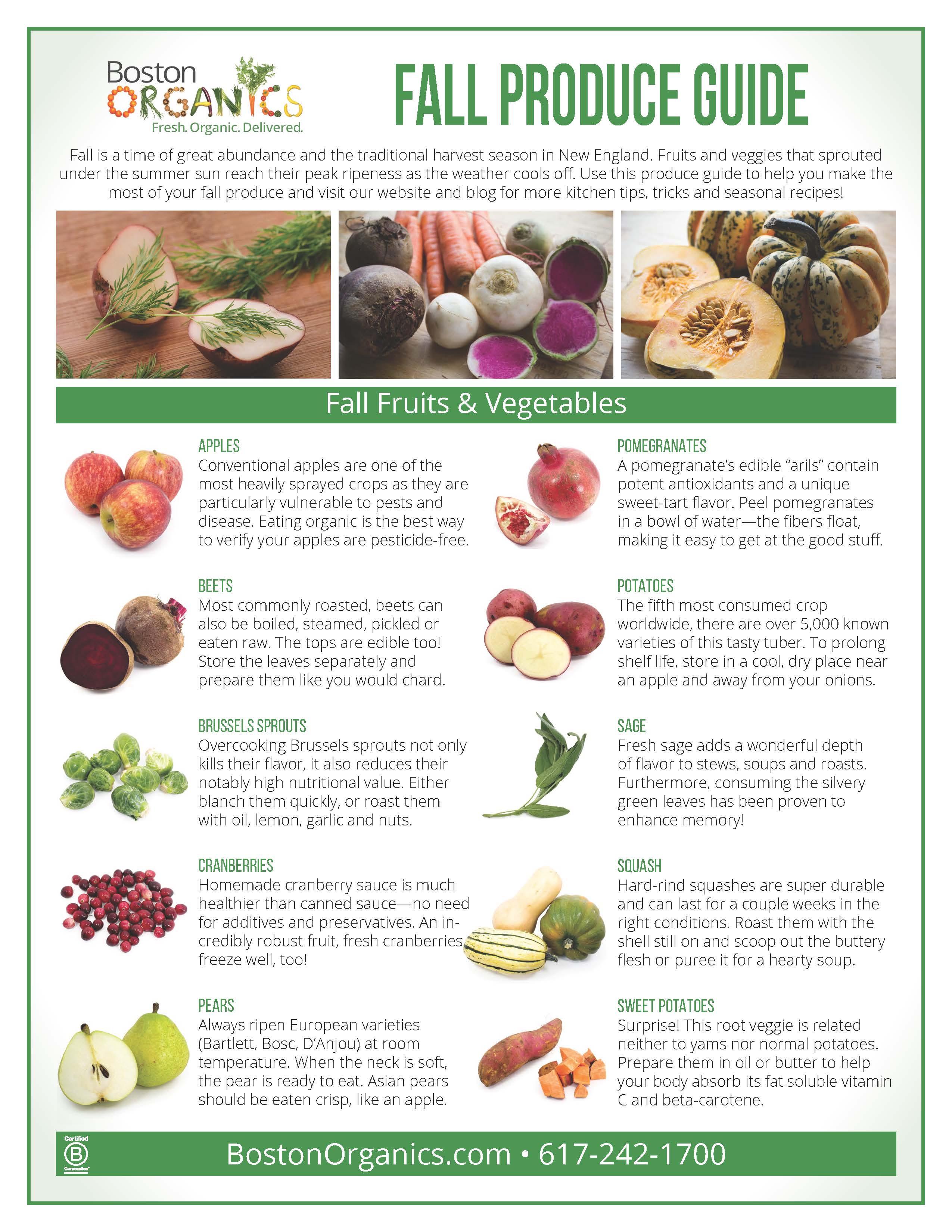 Fall Produce Guide: All About Autumn at Boston Organics