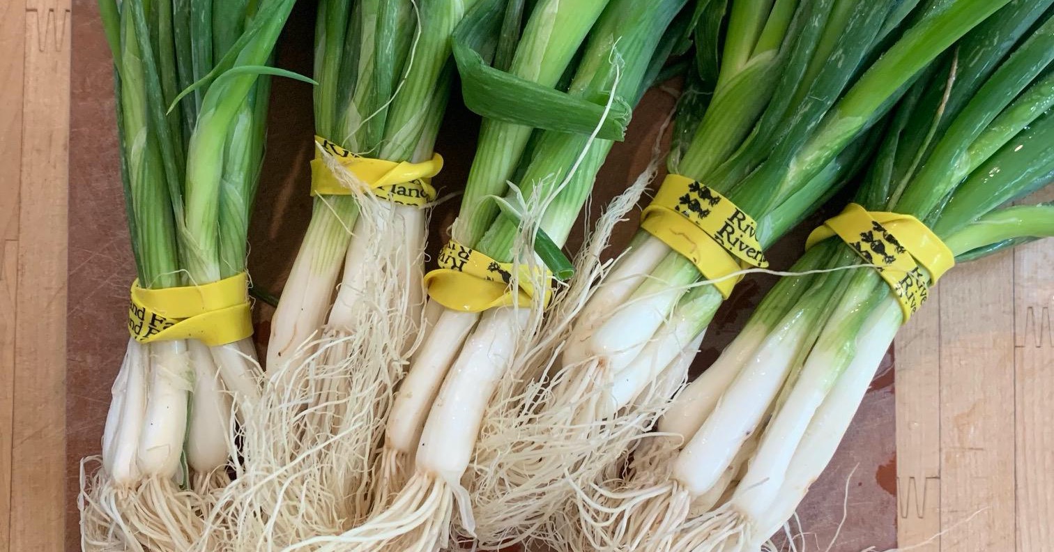 an image from the blogpost Scallions: In-Season, Local and Versatile!