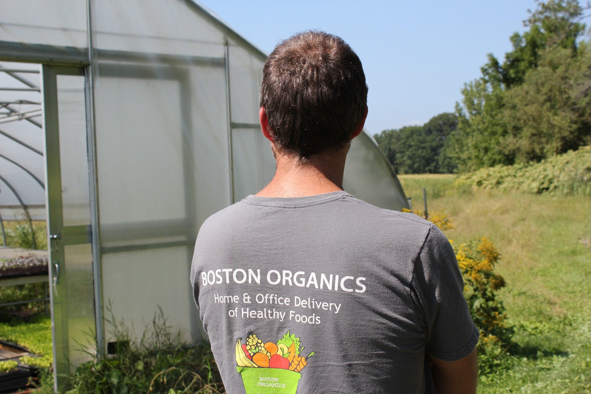 an image from the blogpost Jeff's Corner: CSA vs Boston Organics