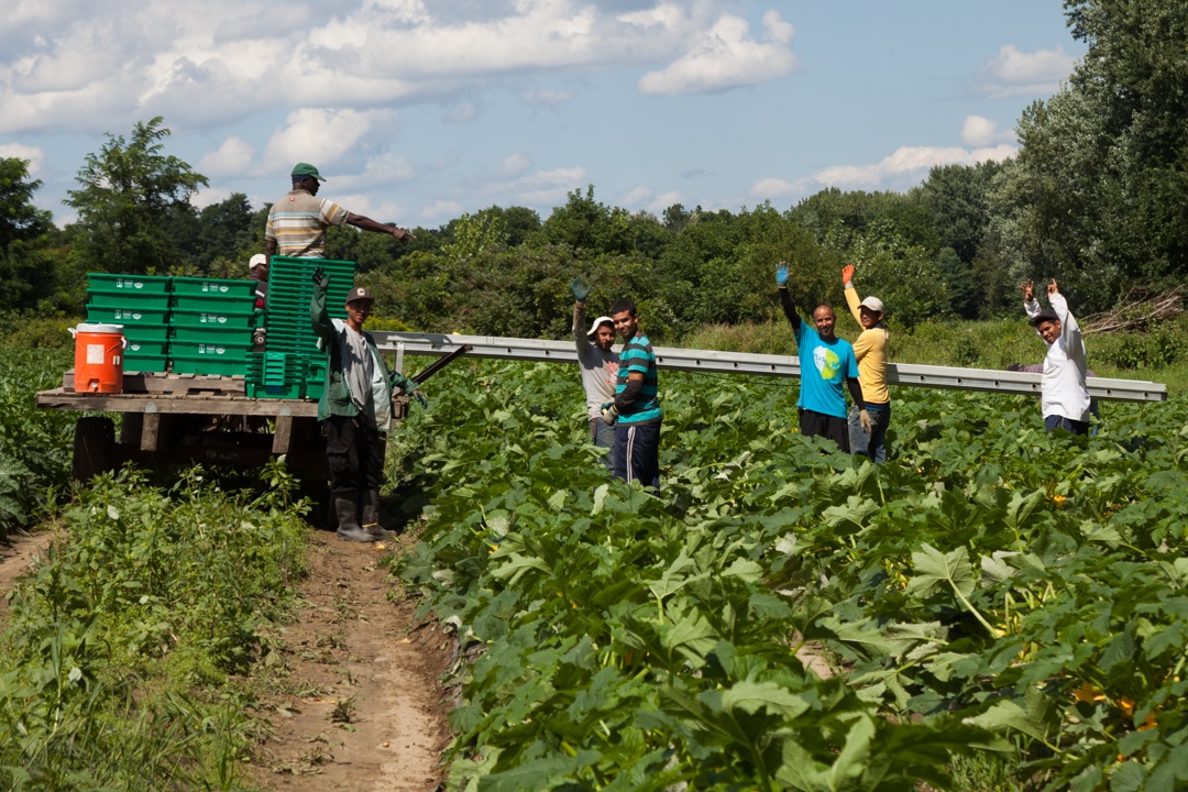 an image from the blogpost Remembering Labor Day and Thanking Food Workers