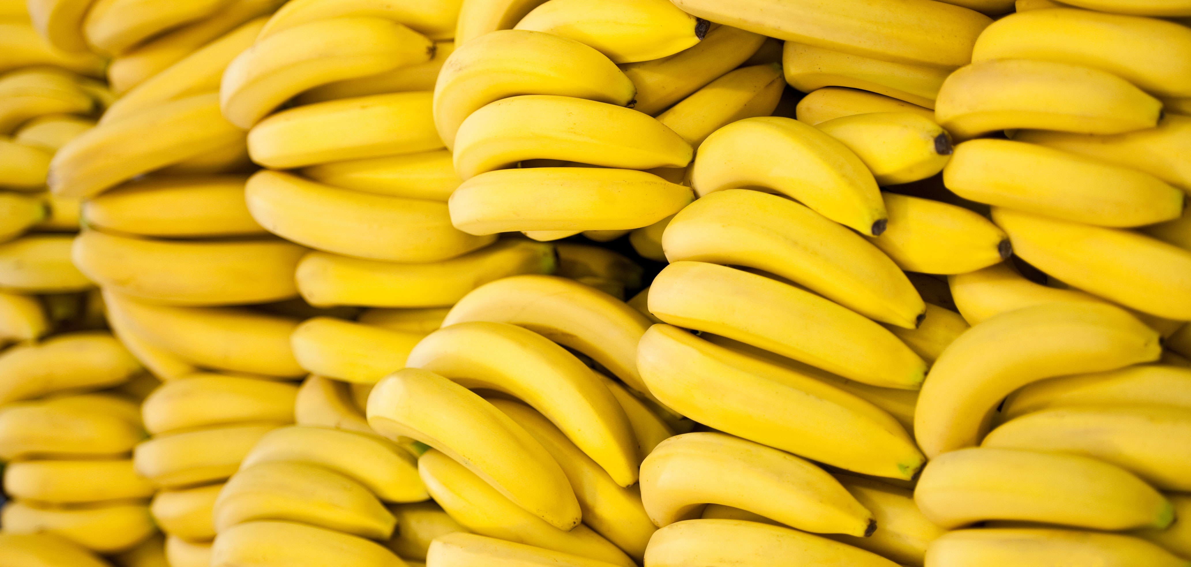 an image from the blogpost The great banana shortage of 2018: Your questions answered