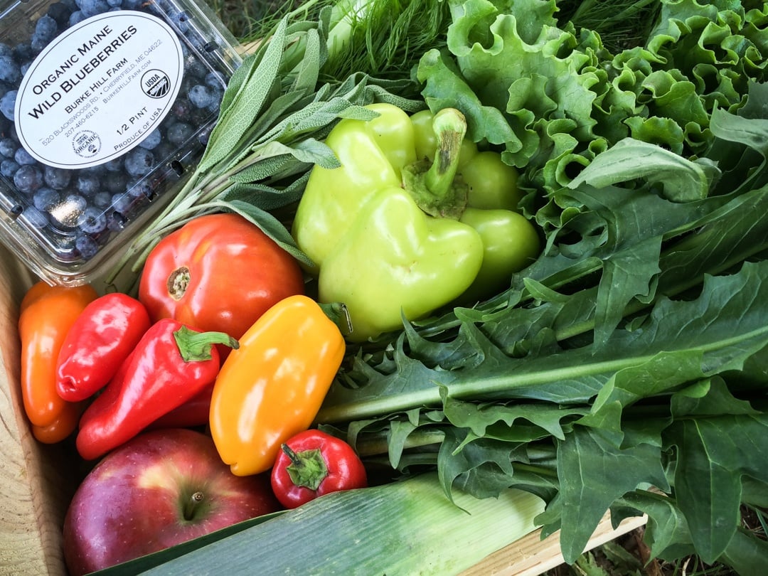 Boston Organics Summer Delivery | Blueberries, tomatoes, peppers