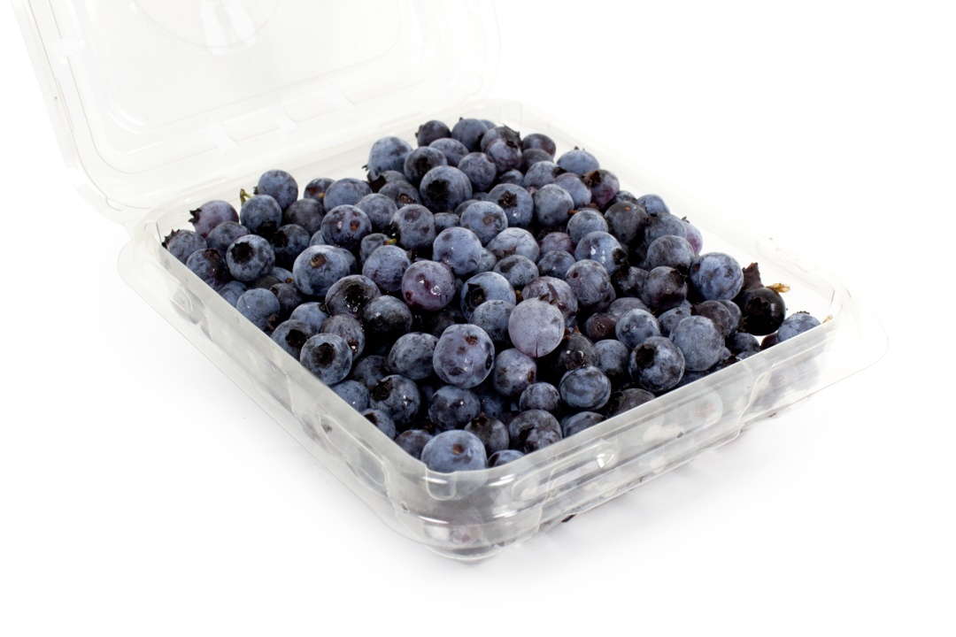 Wild Maine Blueberries | Boston Organics