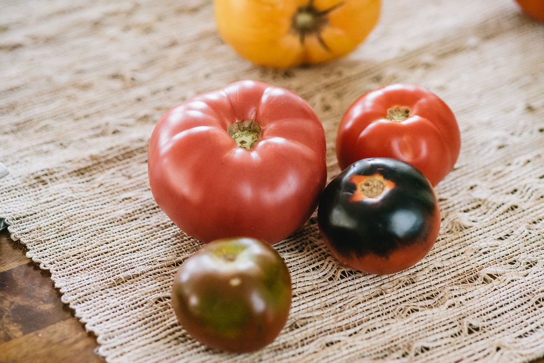 an image from the blogpost Beneath the Peel: Heirloom tomatoes