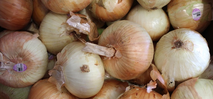 vidalia_onions_700px