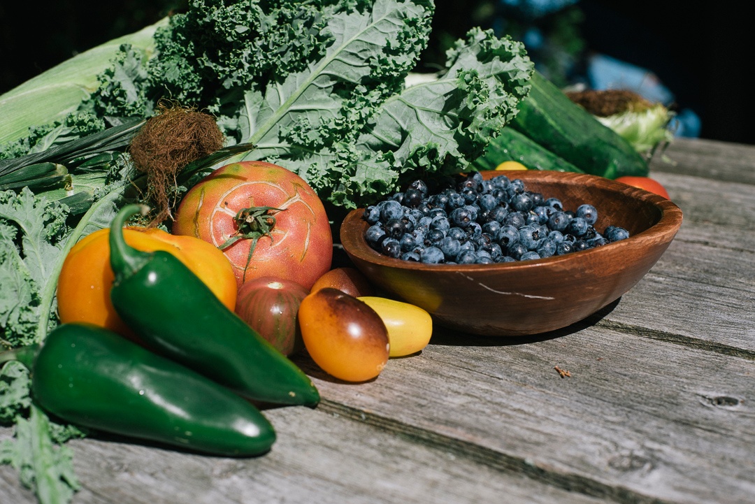 Local Blueberries, Jalapenos | Boston Organics