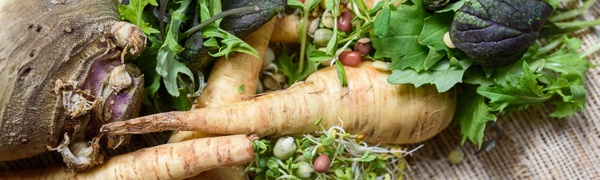 an image from the blogpost Fresh from the Farm: Veggie Rescue