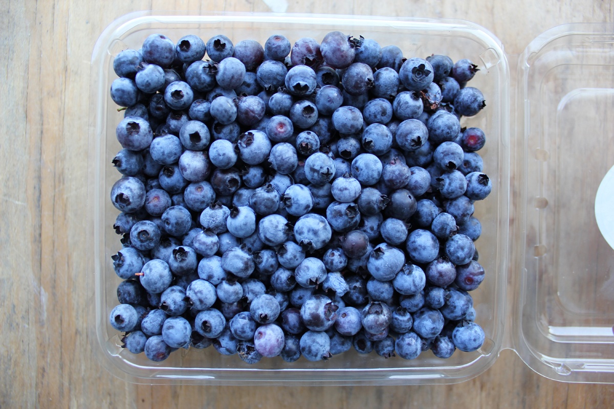 Wild Maine Blueberries | Boston Organics