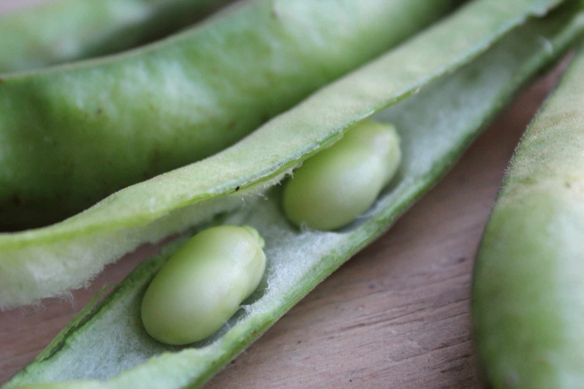 Fava Beans Peeled | Boston Organics