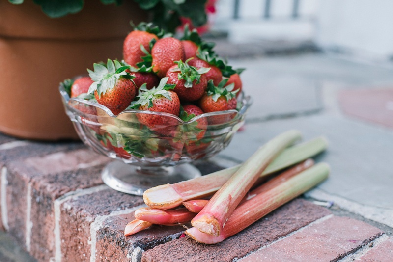 strawberry rhubarb preserve | Boston Organics