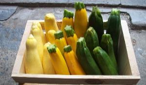 an image from the blogpost 4 Common Varieties of Summer Squash(And How to Cook Them)