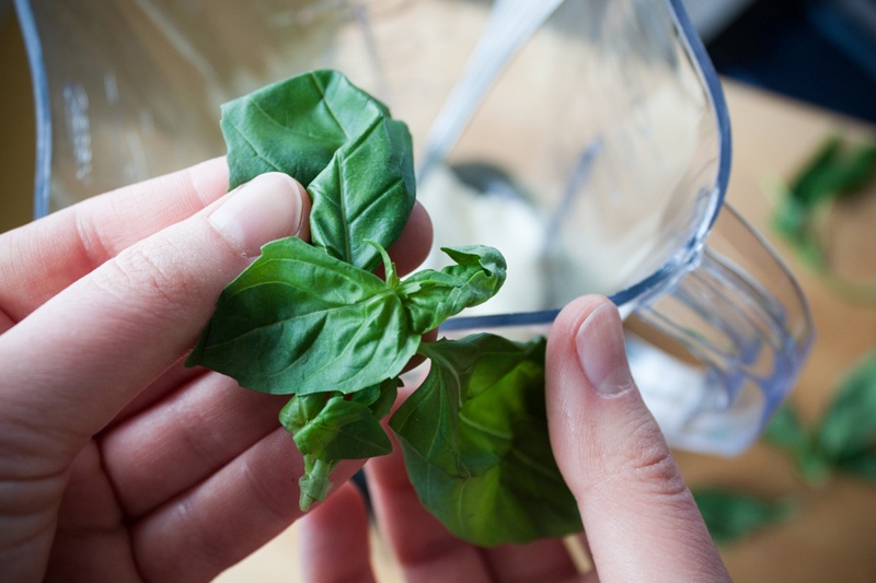 Tearing Basil | Boston Organics