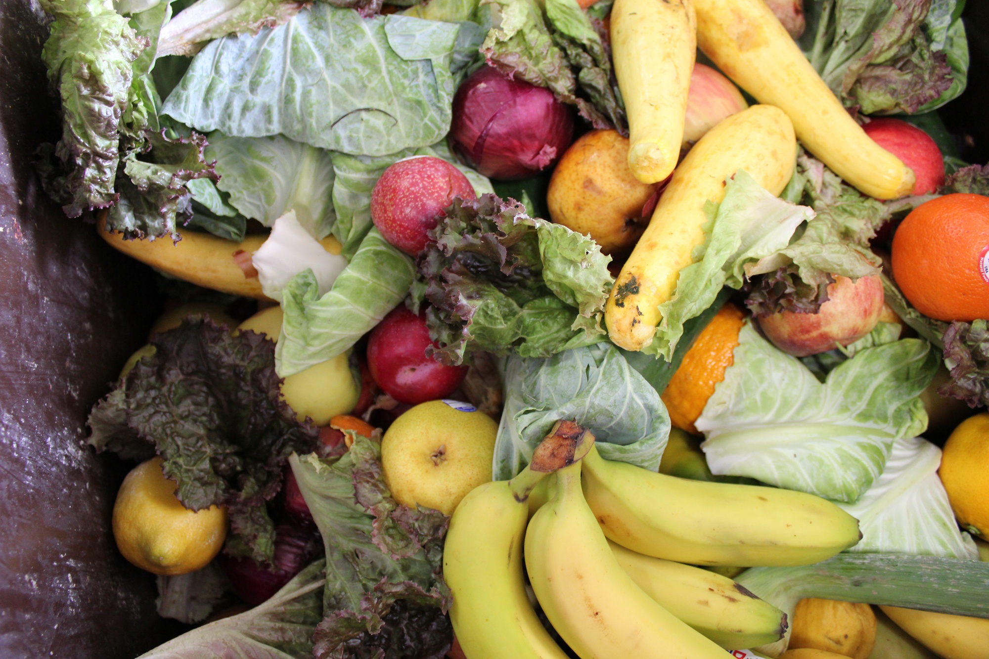 an image from the blogpost 4 Scary Food Waste Facts (and 1 Way to Change Them)