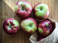 Organic_apples_200px
