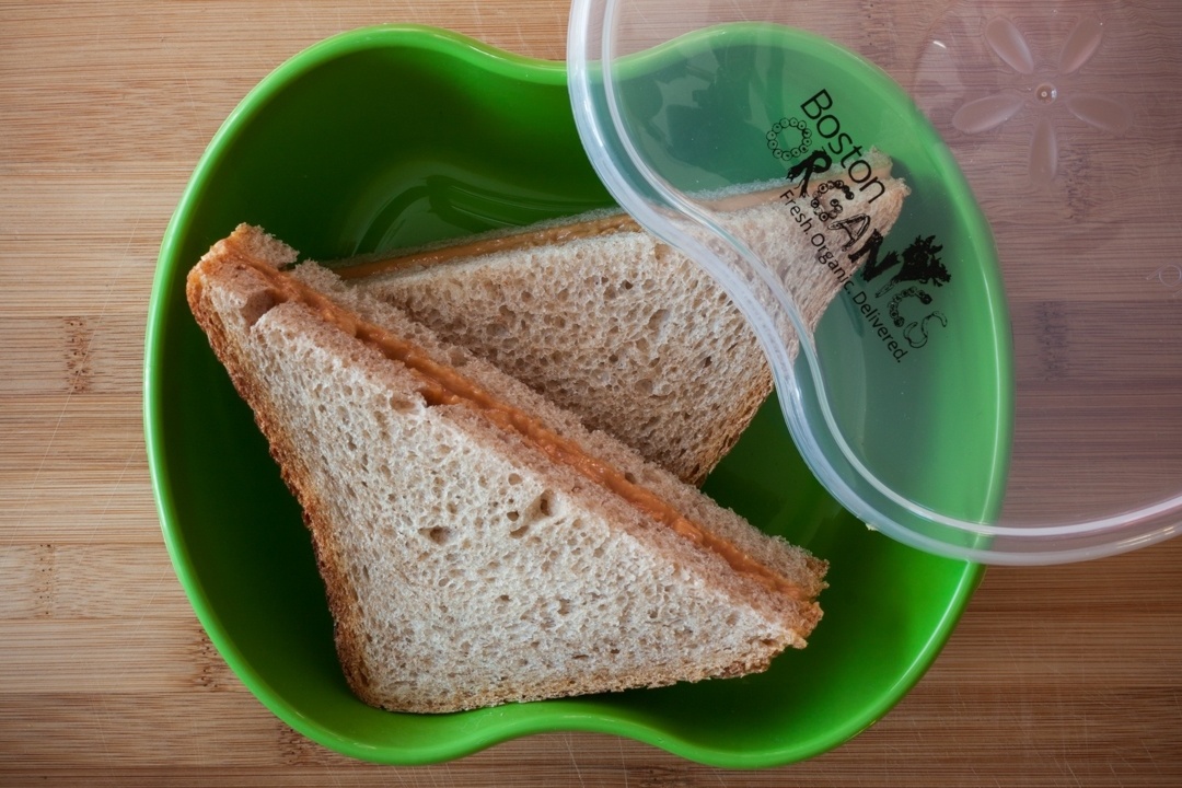 Preserve Food Storage Container | Boston Organics