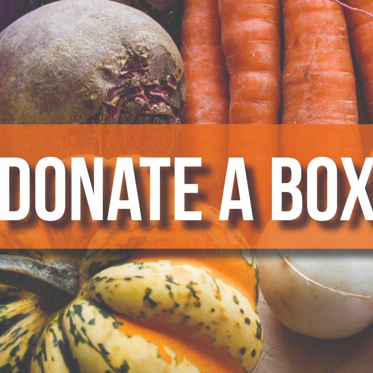 an image from the blogpost Donate a box this holiday season!