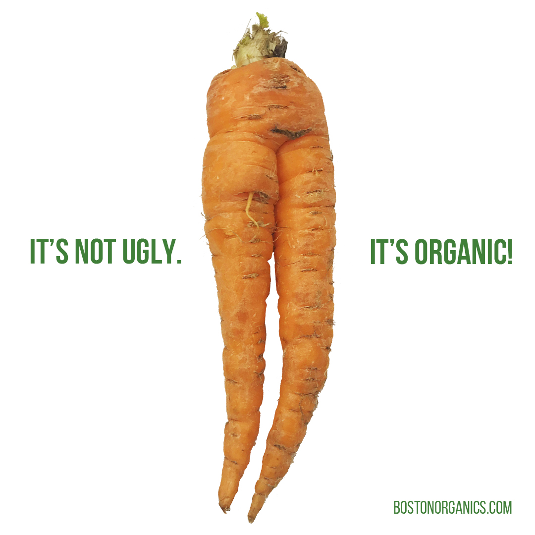 an image from the blogpost Jeff's Corner: It's not ugly, It's organic